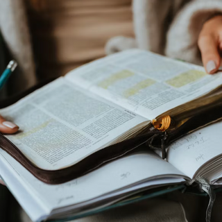 The Word, Our Weapon