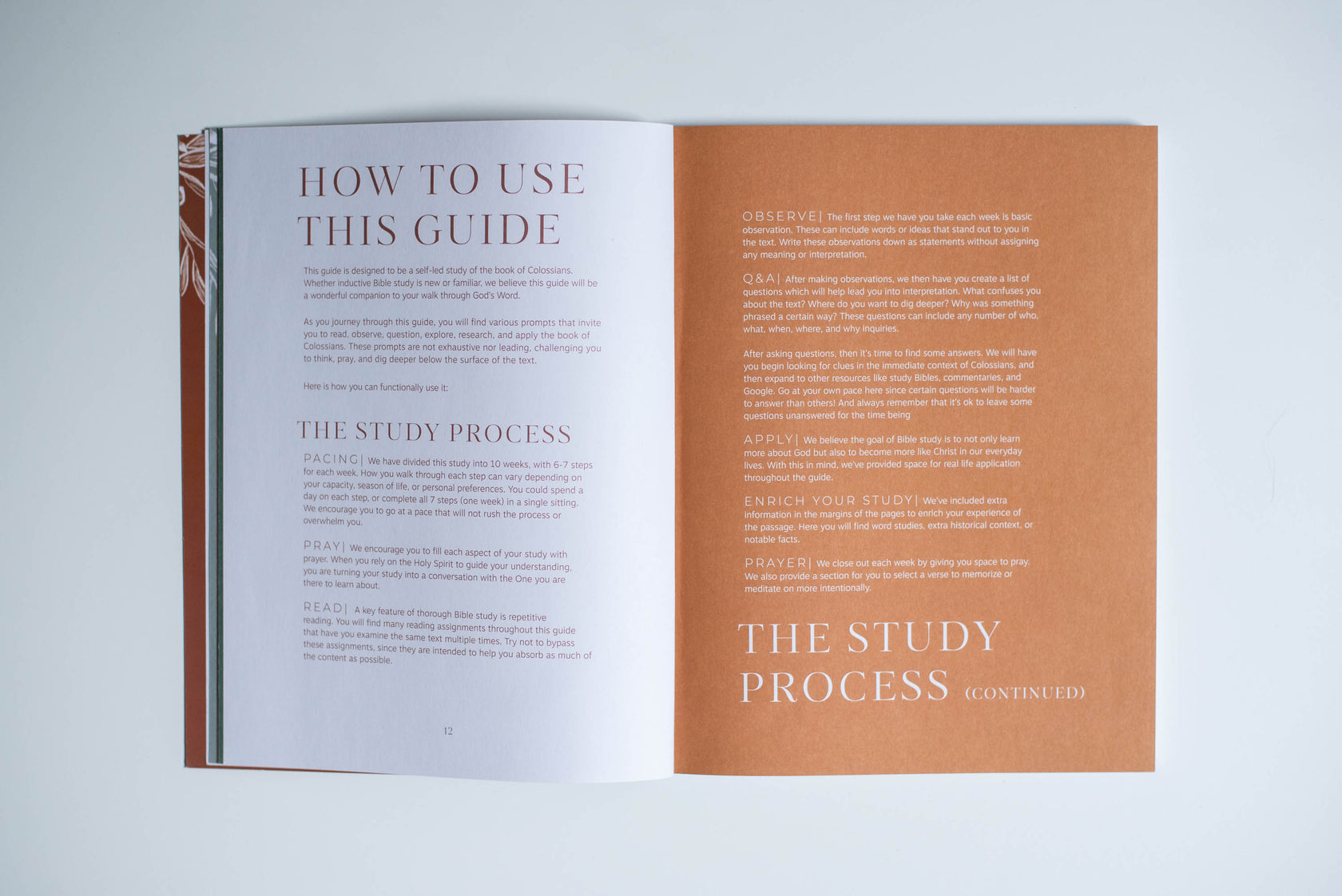 Colossians Study Guide Wholehearted